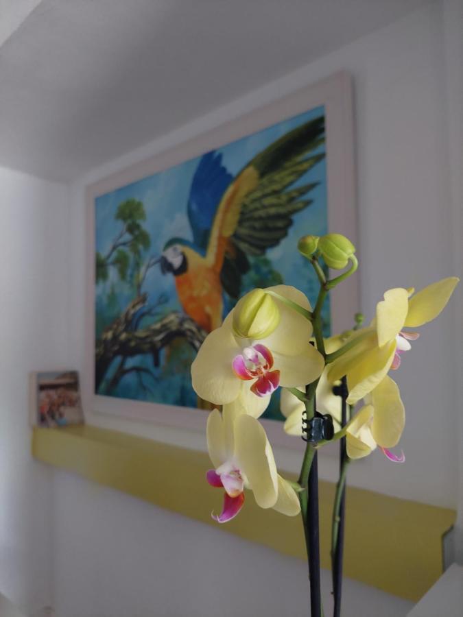 Lisbon'S Best At Campo Pequeno Hotel Ngoại thất bức ảnh